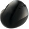 Souris optique ergonomique sans fil