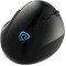 Souris optique ergonomique sans fil