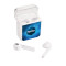 Écouteurs Braavos True Wireless Auto Pair