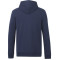 Tentree Sweat à capuche zippé en coton biologique - Homme