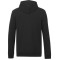 Tentree Sweat à capuche zippé en coton biologique - Homme