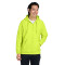 Sweat à capuche épais unisexe Zone HydroSport™ à quart de zip