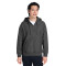 Sweat à capuche épais unisexe Zone HydroSport™ à quart de zip