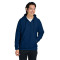 Sweat à capuche épais unisexe Zone HydroSport™ à quart de zip